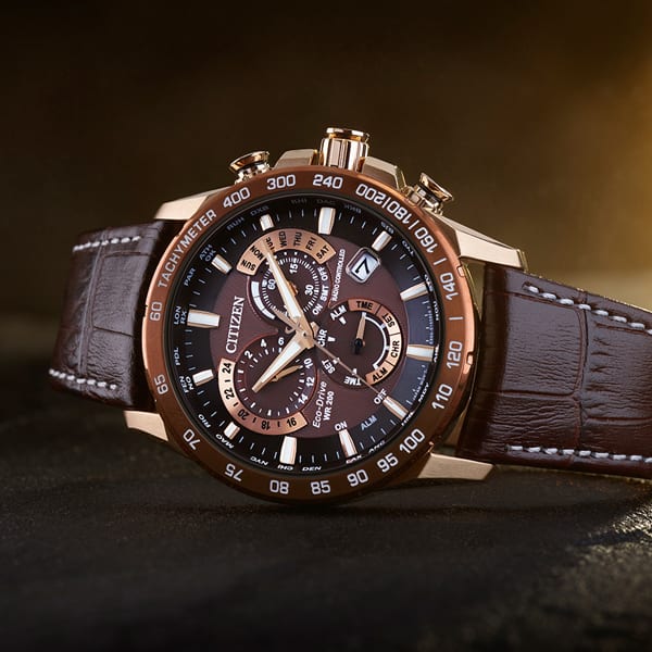 Citizen Perpetual Calendar Watch Citizen Fallers.ie Fallers